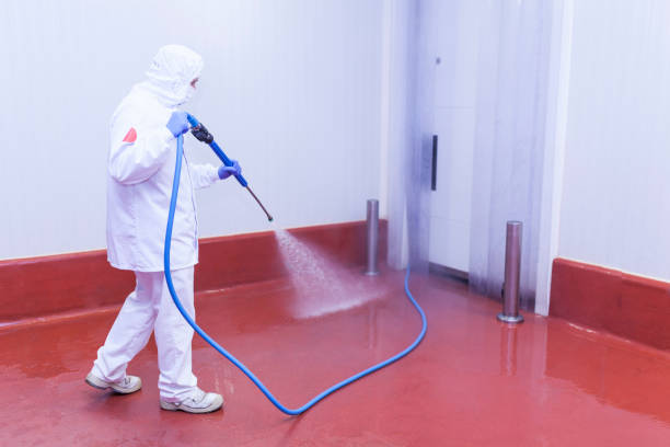 Best Rust Removal  in Dos Palos, CA