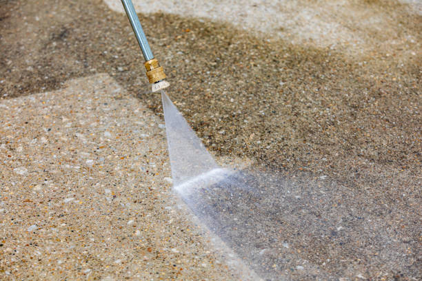 Best Pre-Holiday Cleaning  in Dos Palos, CA